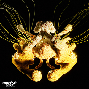 关小雨爆衣服的视频
