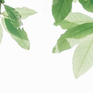 关小雨爆衣服的视频
